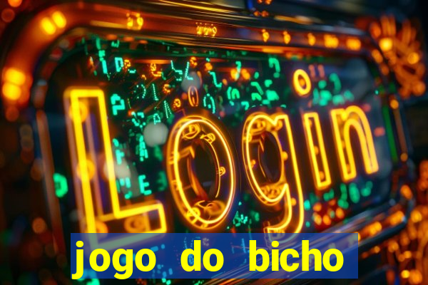 jogo do bicho crash bingo